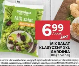 Stokrotka Market Mix sałat Klasyczny XXL Gardinia oferta