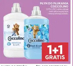 Stokrotka Market Płyn do płukania Coccolino oferta