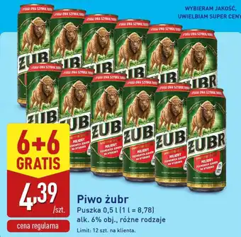 ALDI Piwo żubr oferta