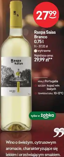 Żabka Raspa Saias Branco oferta