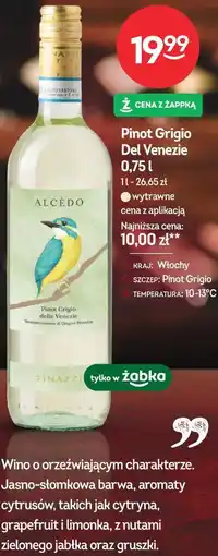 Żabka Pinot Grigio Del Venezie oferta