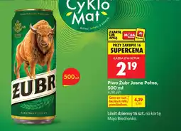 Biedronka Piwo Żubr oferta