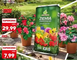Kaufland Ziemia uniwersalna Prima Garden do roślin domowych i zielonych oferta