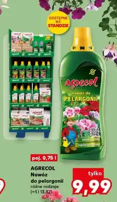 Kaufland Nawóz do pelargonii Agrecol oferta