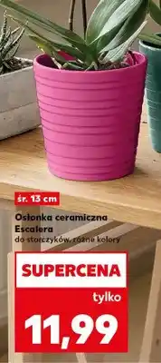 Kaufland Osłonka ceramiczna Escalera do storczyków oferta
