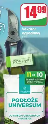 Dino Ziemia kwiatowa uniwersalna Multon Plant oferta