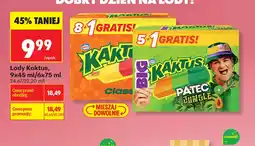 Biedronka Lody Kaktus oferta