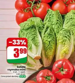 Dino Sałata rzymska mini oferta