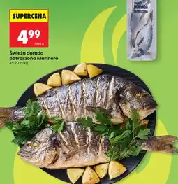 Biedronka Dorada Marinero oferta