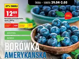 Biedronka Borówki amerykańskie oferta