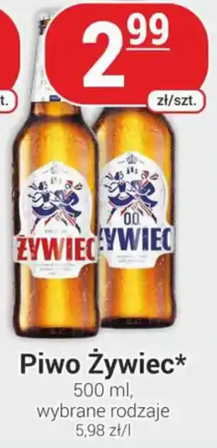 Delikatesy Sezam Piwo Żywiec oferta
