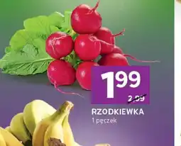 Stokrotka Express Rzodkiewka oferta