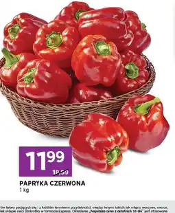 Stokrotka Express Papryka czerwona oferta