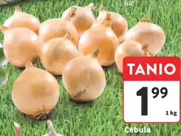 Intermarche Cebula oferta