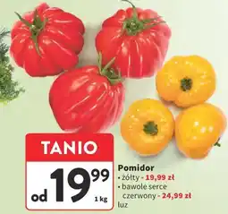 Intermarche Pomidor żółty oferta