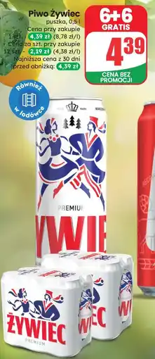 Dino Piwo Żywiec oferta