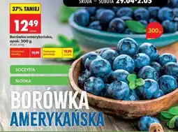 Biedronka Borówka amerykańska opak 300 g oferta
