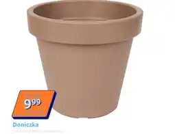 Action Doniczka oferta