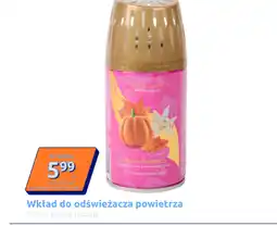Action Wkłady do odświeżacza oferta