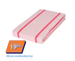 Action Obrus oferta