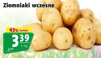 Ziemniaki wczesne