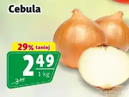 Prim Market Cebula oferta