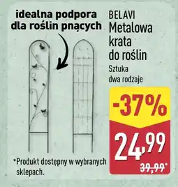 ALDI Podpora do roślin Belavi oferta