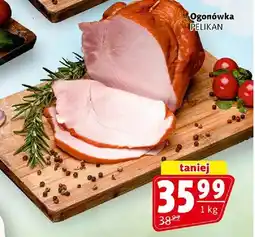Prim Market Ogonówka Pelikan oferta