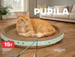 Netto Drapak dla kota oferta