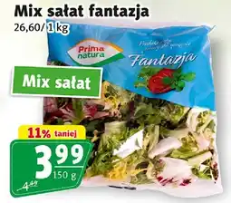 Prim Market Mix sałat fantazja Prima Natura oferta