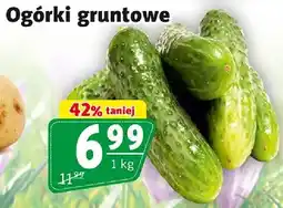 Prim Market Ogórki gruntowe oferta