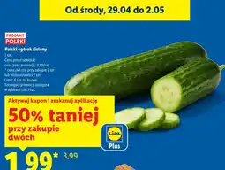 Lidl Ogórek zielony polski oferta