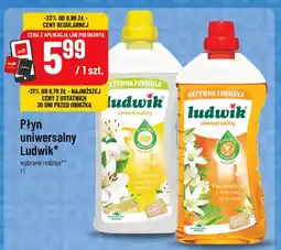 Polomarket Płyn uniwersalny Ludwik pomarańcza z nutą trawy cytrynowej oferta