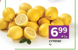 Stokrotka Express Cytryna oferta