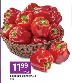 Stokrotka Express Papryka oferta