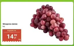 Dino Winogrono ciemne luz oferta