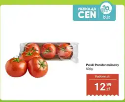 Dino Pomidor malinowy polski oferta