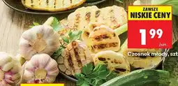 Biedronka Czosnek młody szt oferta