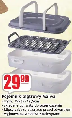 Sezamek Pojemnik piętrowy Malwa oferta