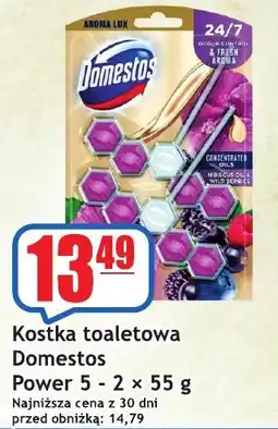 Sezamek Kostka toaletowa Domestos Power 5 oferta