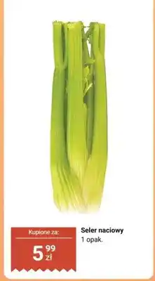 Biedronka Seler naciowy oferta