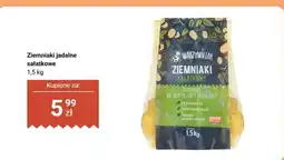 Biedronka Ziemniaki jadalne sałatkowe Warzywniak oferta