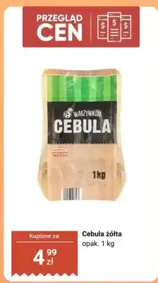 Biedronka Cebula żółta Warzywniak oferta
