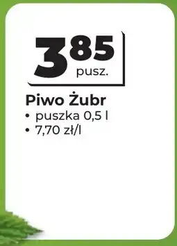 Odido Piwo Żubr oferta