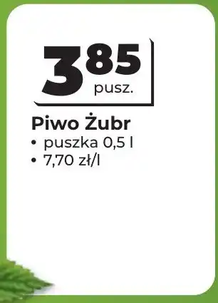 Odido Piwo Żubr oferta