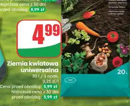 Dino Ziemia kwiatowa uniwersalna oferta