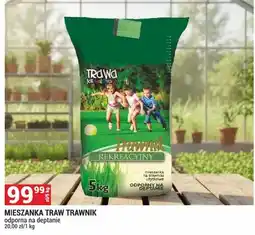 Merkury Market Mieszanka traw Trawnik Rekreacyjny odporna na deptanie oferta