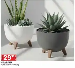 Merkury Market Misa Roma oferta
