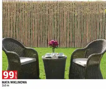 Mata wiklinowa 2x3m