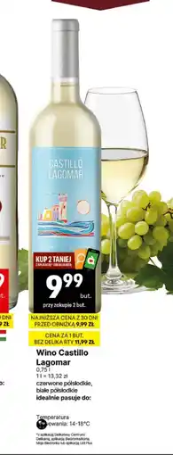 Delikatesy Centrum Wino półsłodkie Castillo oferta